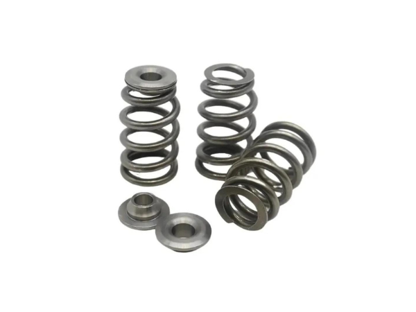 Valve Springs