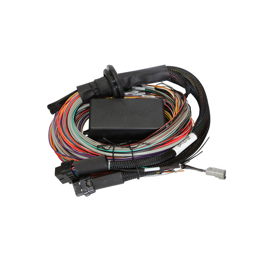 Haltech Elite 1500 Premium Universal Wire-in Harness HT-140904