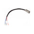 Haltech CAN Adaptor Loom DTM-4 to JST 5-pin HT-130048 - Game On Motorsports Australia