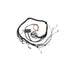 Haltech Elite 2000/2500 Toyota 2JZ Terminated Engine Harness HT-130318 - Game On Motorsports Australia