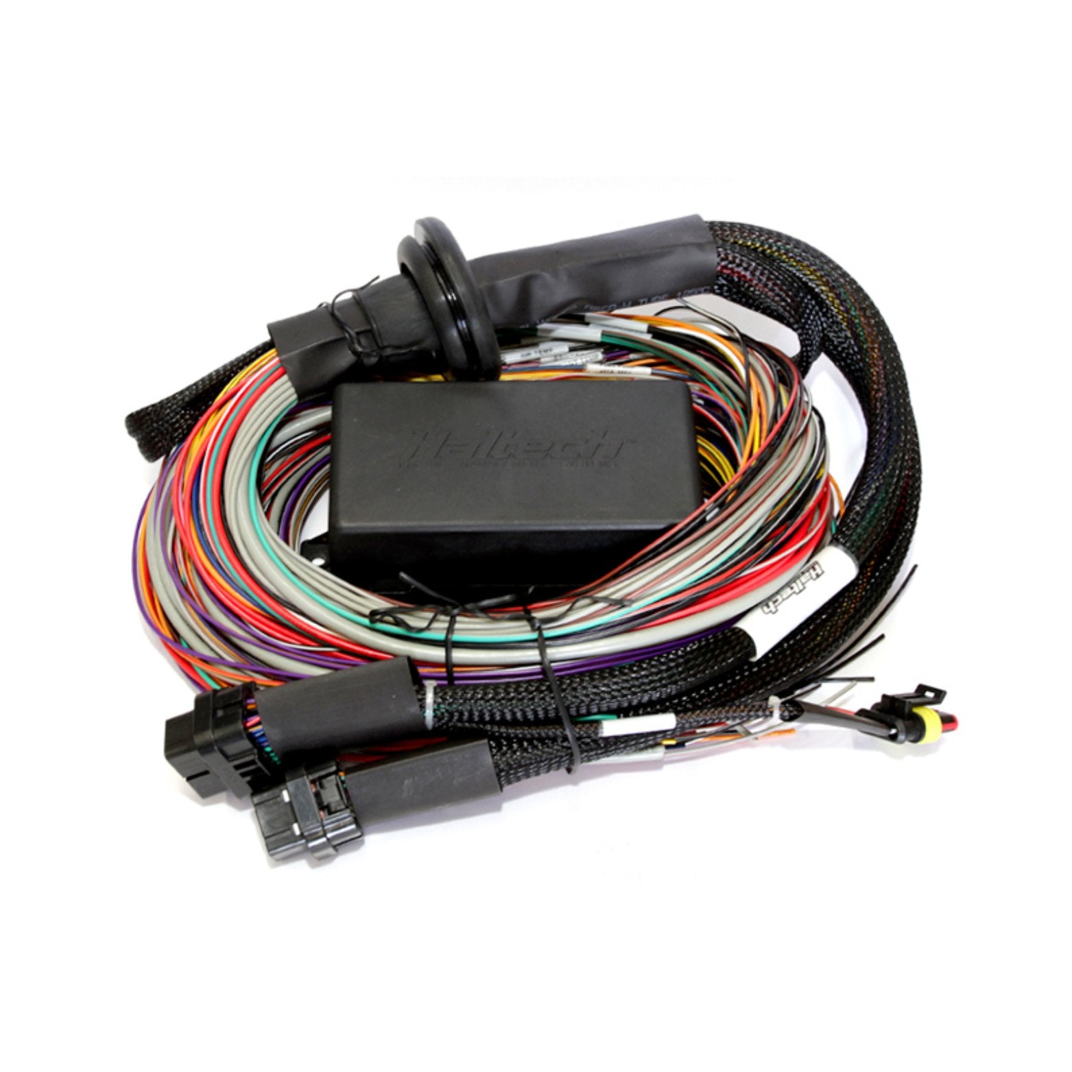 Haltech Elite 2500 & 2500 T Premium Universal Wire-in Harness HT-141304 - Game On Motorsports Australia