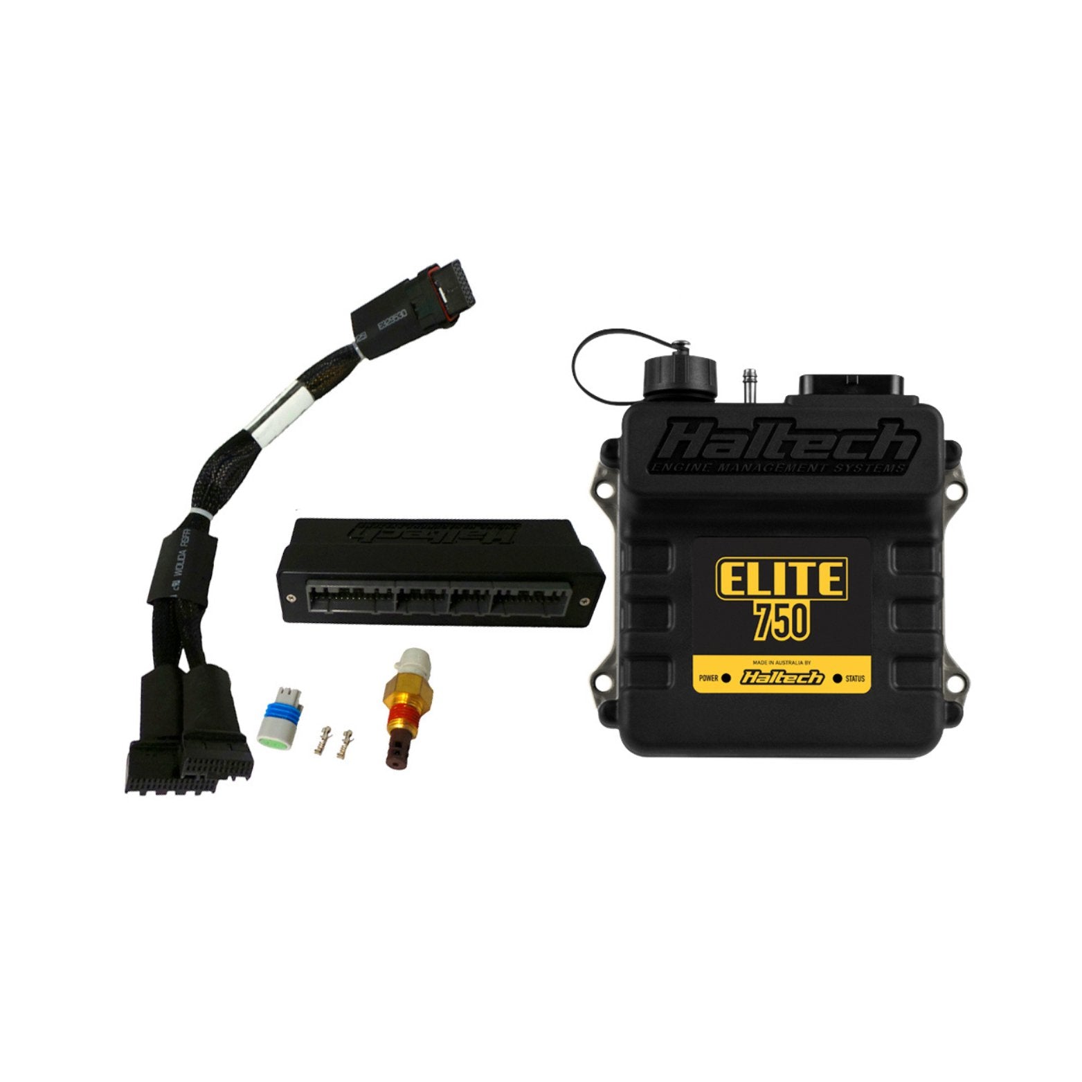 Haltech Elite 750 + Toyota LandCruiser 80 Series Plug n Play Adaptor Harness Kit HT-150647 - Game On Motorsports Australia