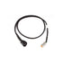 Haltech LSU4.9 Wideband Adaptor Harness LSU4.9 to DTM6 HT-010726 - Game On Motorsports Australia