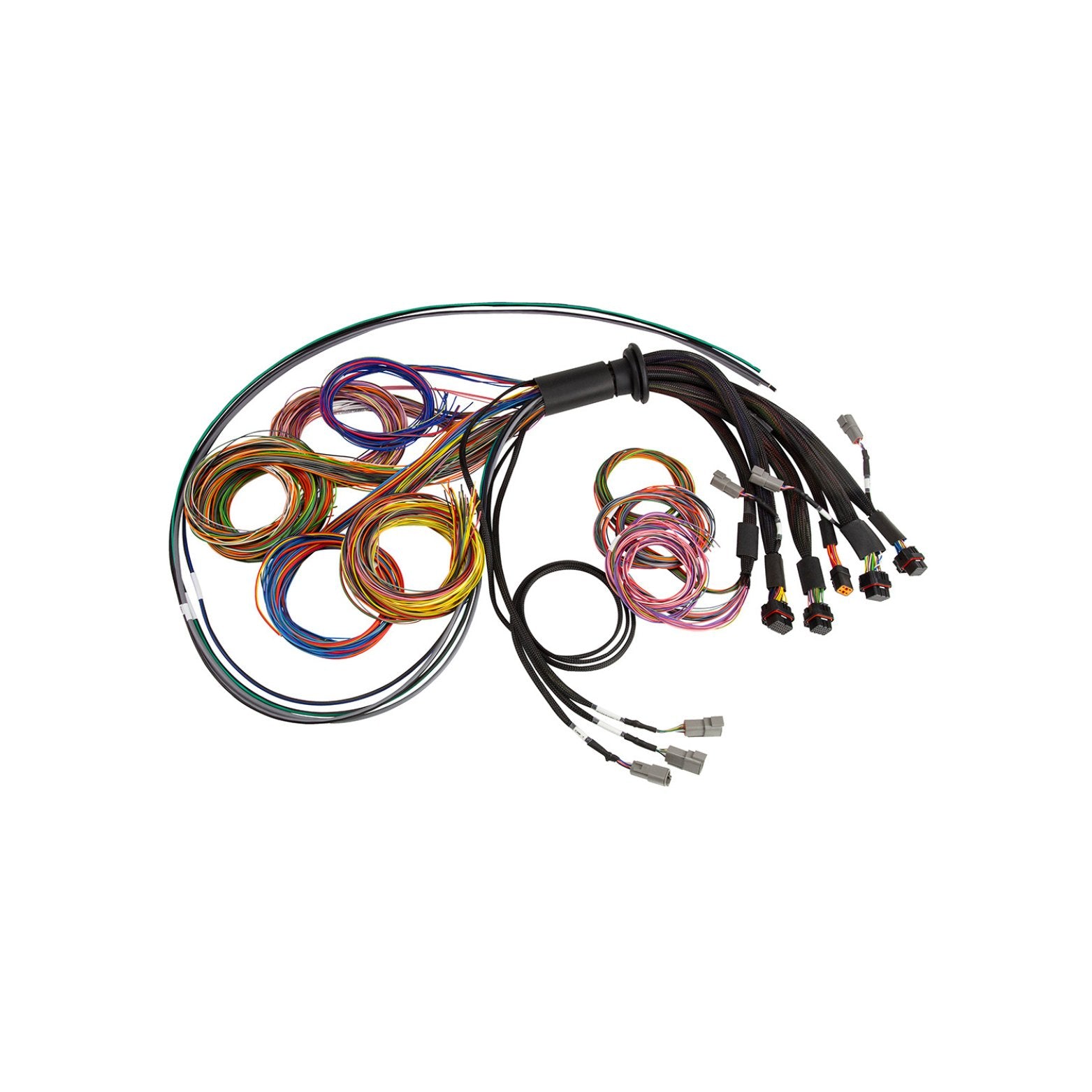 Haltech NEXUS R5 Universal Wire-In Harness 5 Metre Length HT-185201 - Game On Motorsports Australia