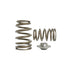 Kelford Nissan SR20DET Beehive Springs and Titanium Retainers KVS93-BT - Game On Motorsports Australia
