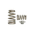 Kelford Nissan SR20VE Beehive Springs and Titanium Retainers KVS10-BT - Game On Motorsports Australia