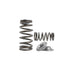 Kelford Subaru EJ20 Non STi V3-V4 Springs and Titanium Retainers KVS96 - Game On Motorsports Australia