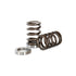 Kelford Subaru EZ30 Spring Kit KVS30 - Game On Motorsports Australia