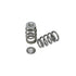Kelford Toyota 1JZGTE Extreme Beehive Springs and Retainers KVS229-BT-X - Game On Motorsports Australia
