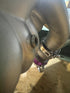 PRP Weld on EGT 1/8 NPT Stainless Steel - Game On Motorsports Australia