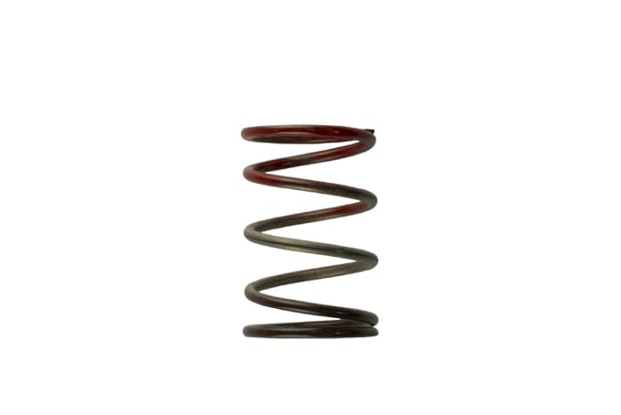 TurboSmart Gen 4/IWG WG38/40/45/50L 11PSI Middle Spring Brown/Red TS-0505-2004 - Game On Motorsports Australia