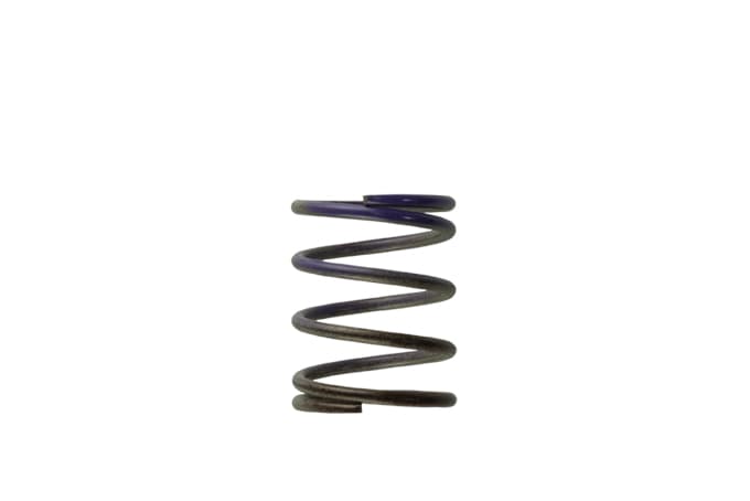 TurboSmart Gen 4/IWG WG38/40/45/50L 7PSI Middle Spring Brown/Purple TS-0505-2003 - Game On Motorsports Australia