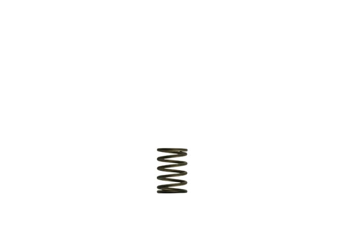 TurboSmart Gen-V WG38/40 3psi Black Inner Spring TS-0550-3081 - Game On Motorsports Australia