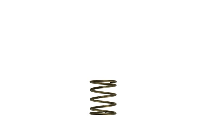 TurboSmart Gen-V WG45/50 3psi Orange Inner Spring TS-0550-3085 - Game On Motorsports Australia